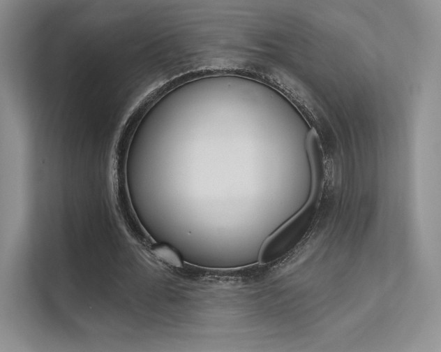 X0000112180676200908070941