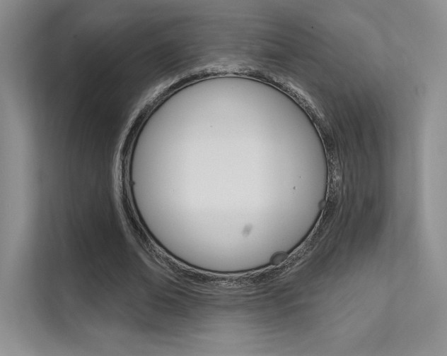 X0000112180678200908070941