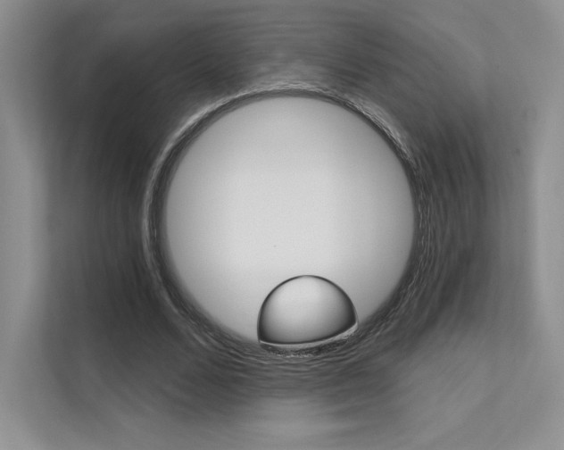 X0000112180680200908070941