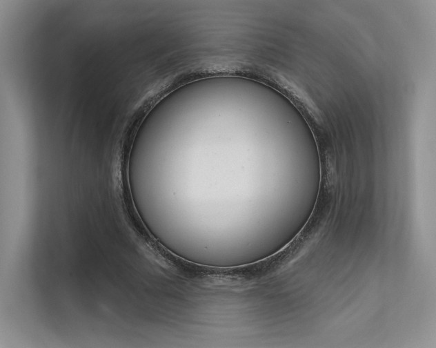 X0000112180681200908070941