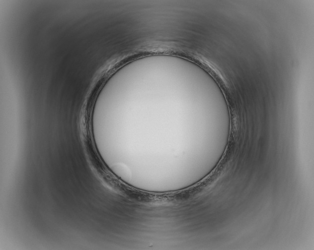 X0000112180682200908070941