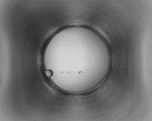 X0000112180683200908070941