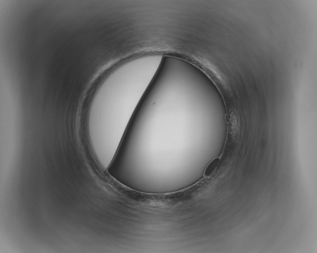X0000112180684200908070941