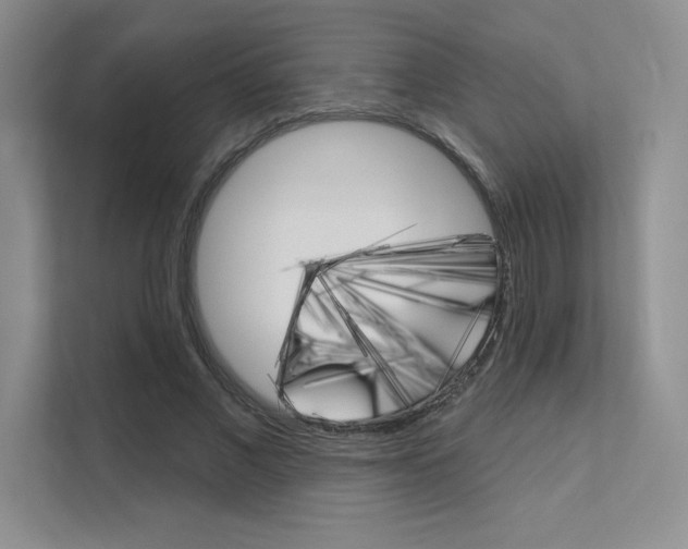 X0000112180685200908070941
