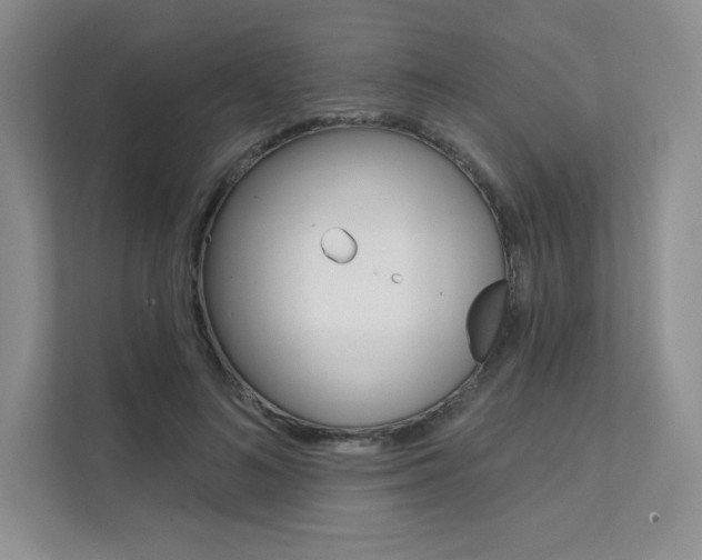X0000112180692200908070940