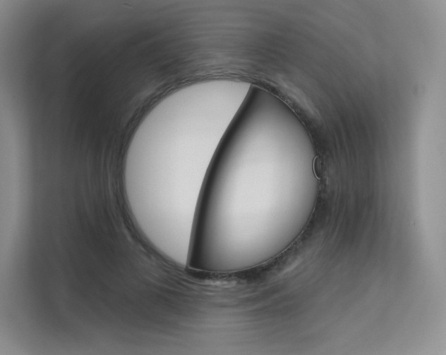 X0000112180693200908070940
