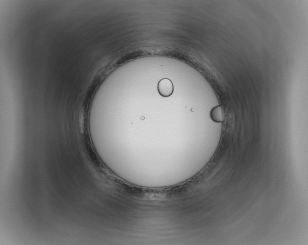 X0000112180694200908070940