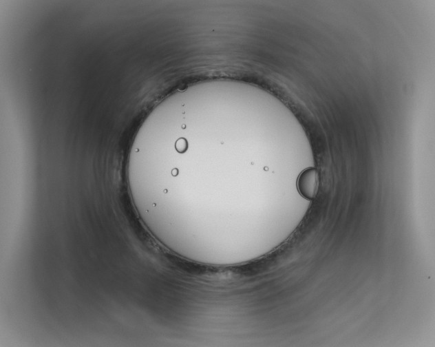 X0000112180695200908070940