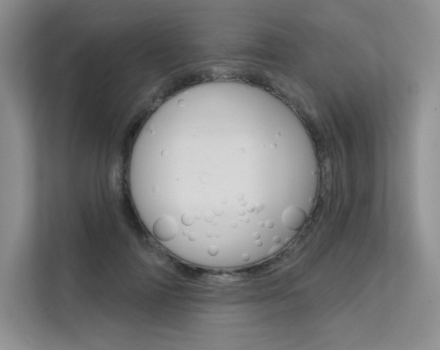X0000112180698200908070940