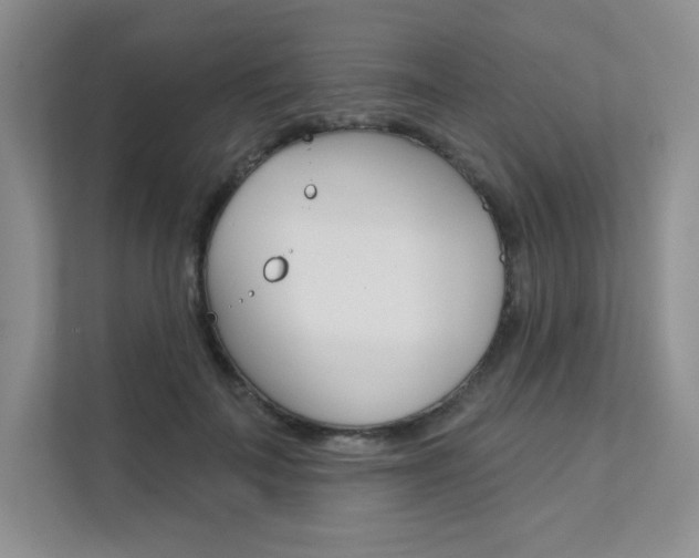 X0000112180699200908070940