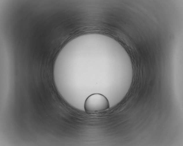 X0000112180700200908070940