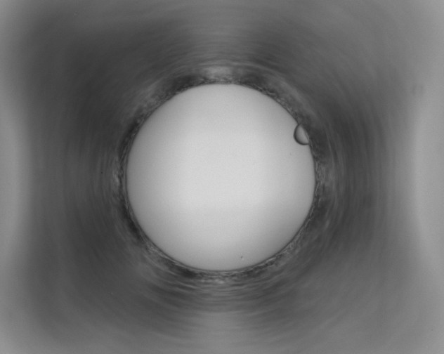 X0000112180702200908070940
