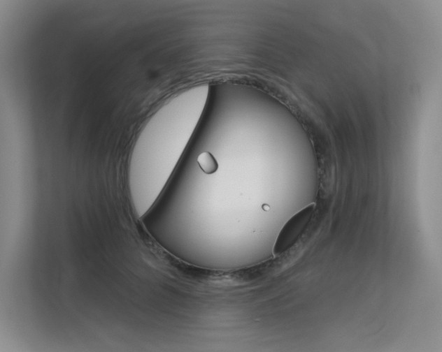 X0000112180704200908070940