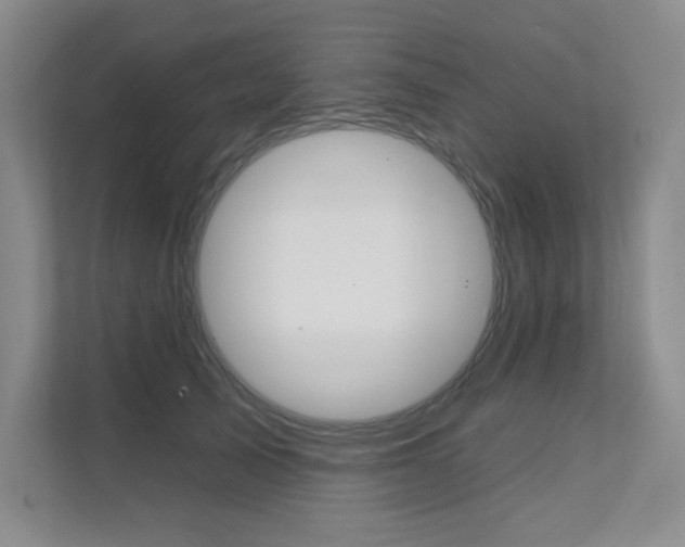 X0000112180705200908070940