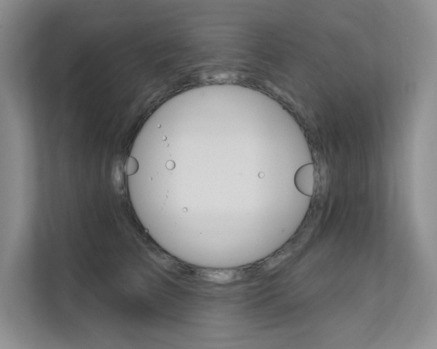 X0000112180709200908070940