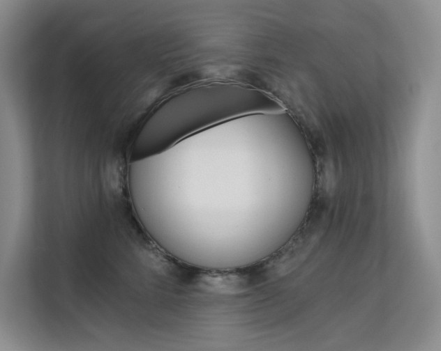 X0000112180712200908070940