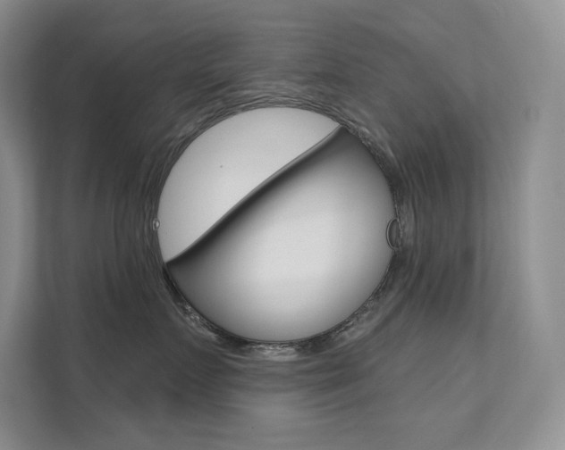 X0000112180719200908070940