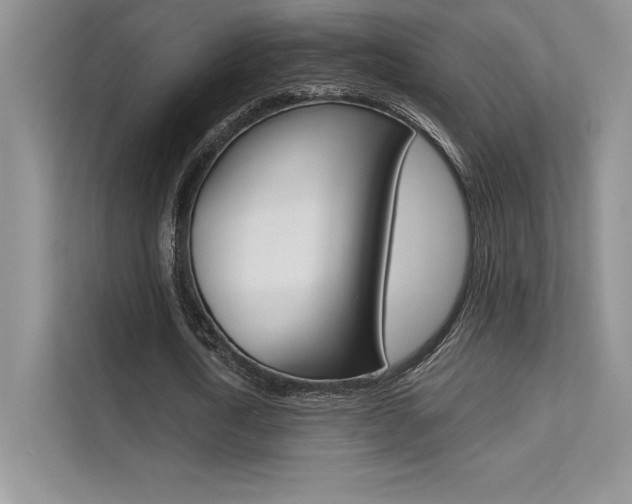 X0000112180722200908070940