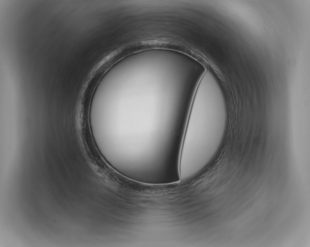 X0000112180724200908070940