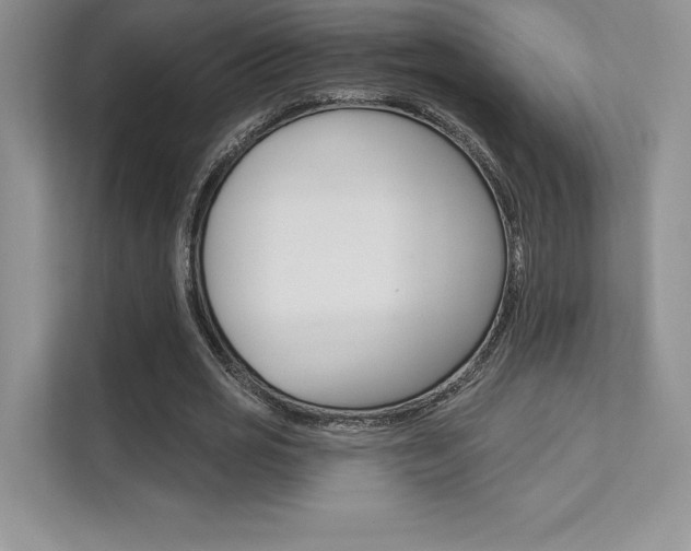 X0000112180725200908070940