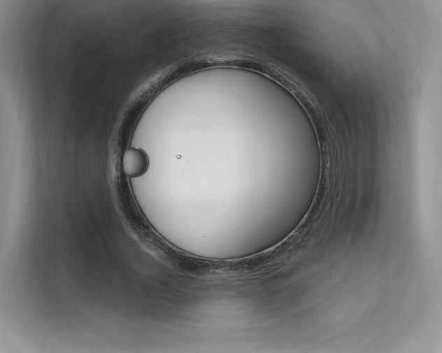 X0000112180732200908070940