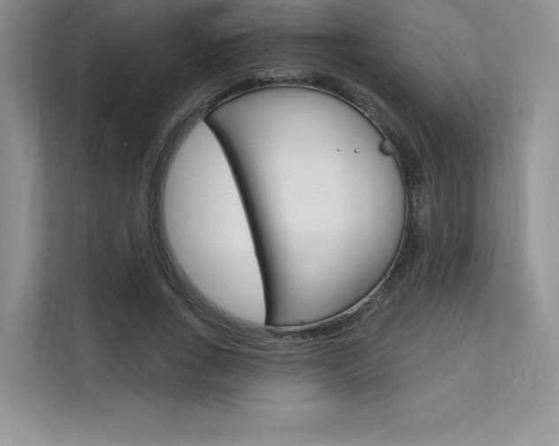 X0000112180735200908070940