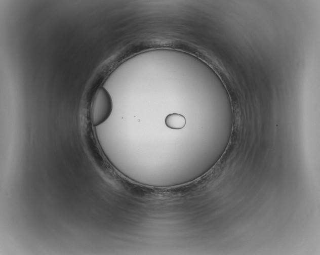 X0000112180736200908070940