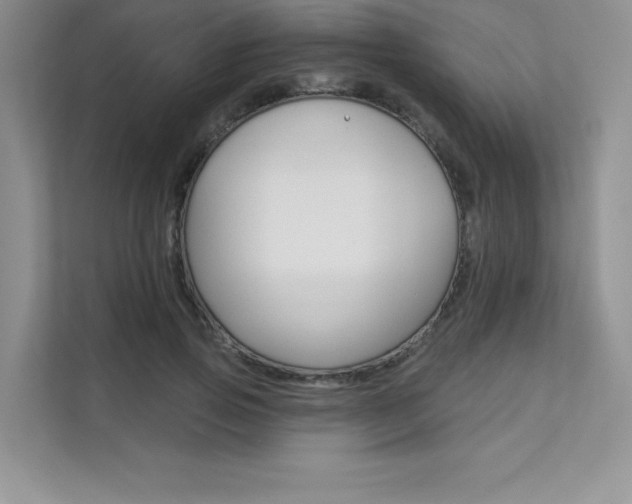 X0000112180741200908070940
