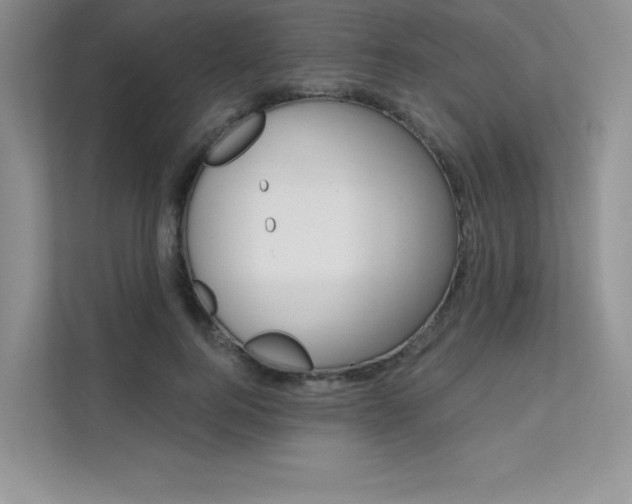 X0000112180744200908070940