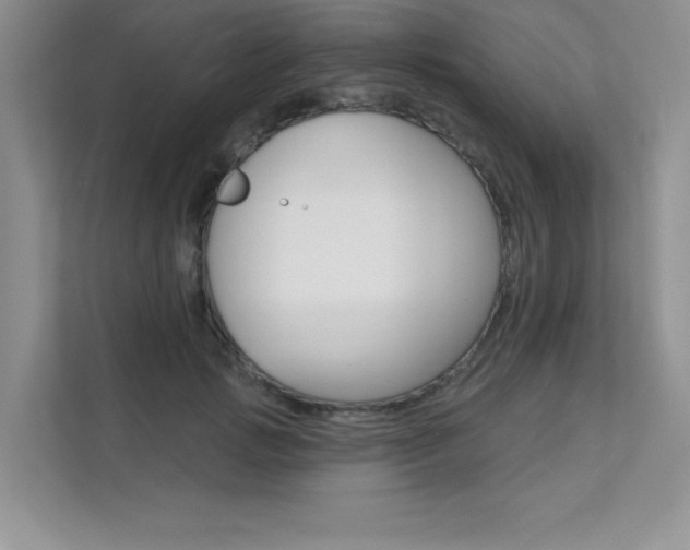 X0000112180749200908070940