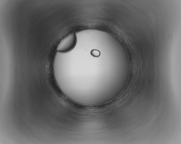 X0000112180750200908070940
