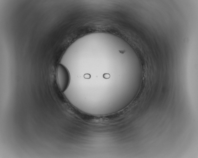 X0000112180752200908070940