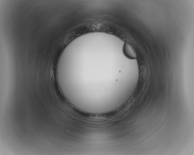 X0000112180754200908070940