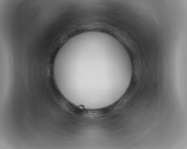 X0000112180758200908070940