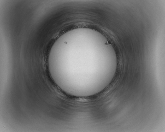 X0000112180759200908070940