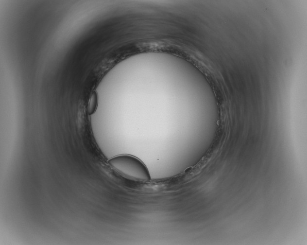 X0000112180760200908070940