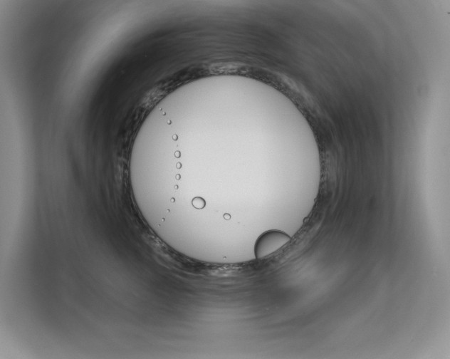 X0000112180761200908070940