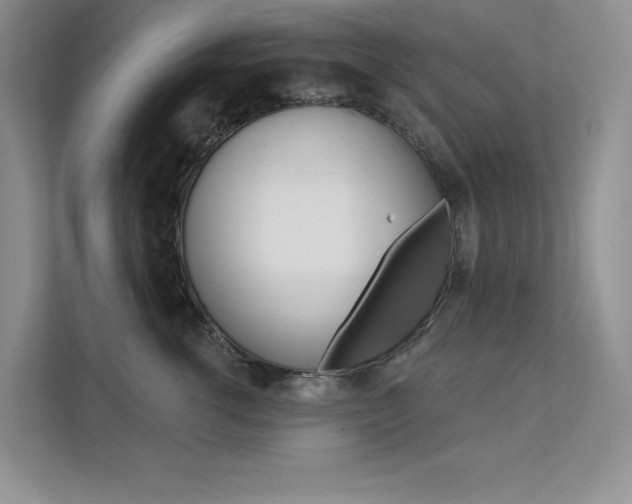 X0000112180762200908070940