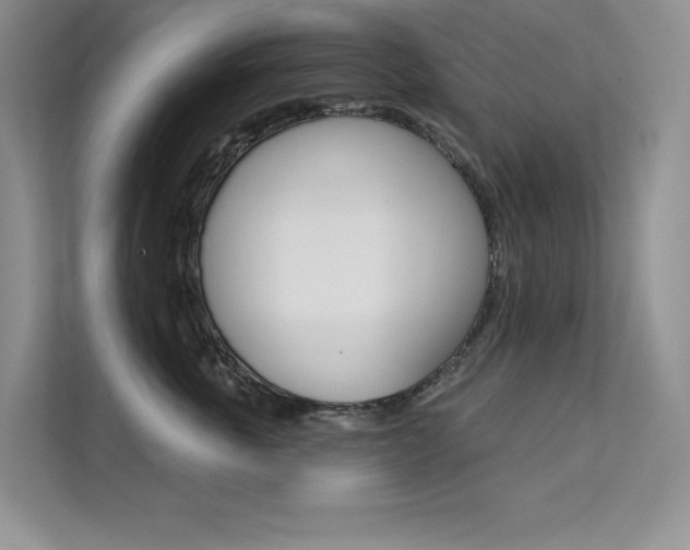 X0000112180763200908070940