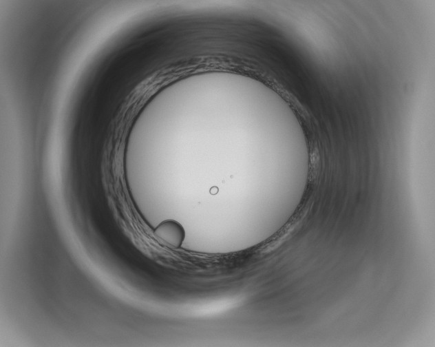 X0000112180765200908070940