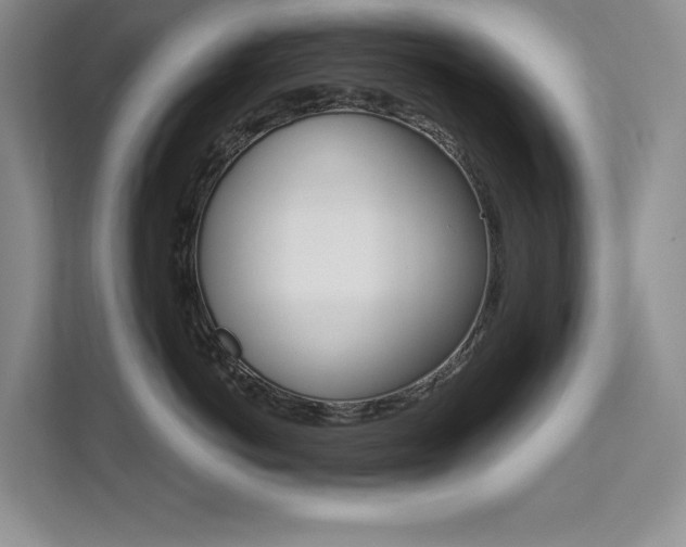 X0000112180766200908070940