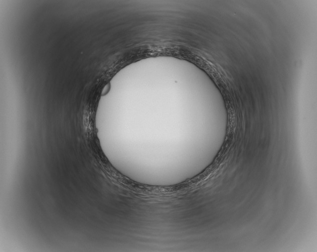 X0000112180770200908070939
