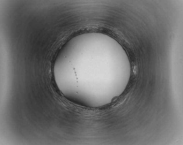 X0000112180771200908070939