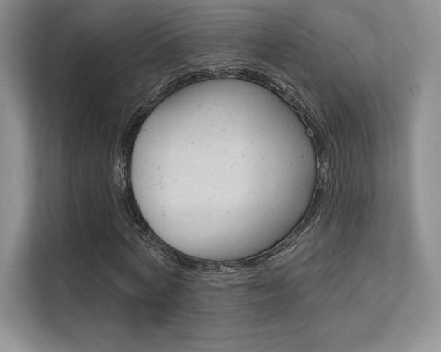 X0000112180772200908070939