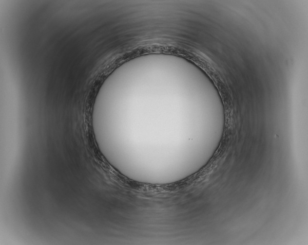 X0000112180774200908070939
