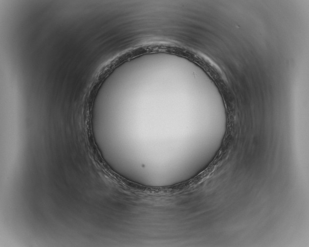 X0000112180775200908070939