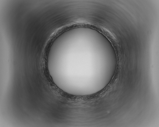 X0000112180776200908070939