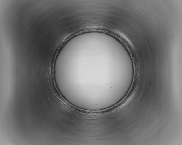 X0000112180777200908070939