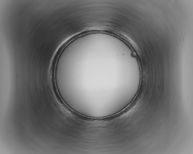 X0000112180779200908070939