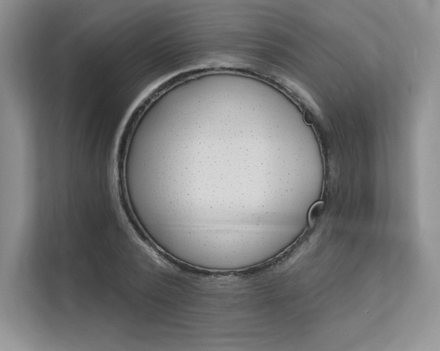 X0000112180784200908070939